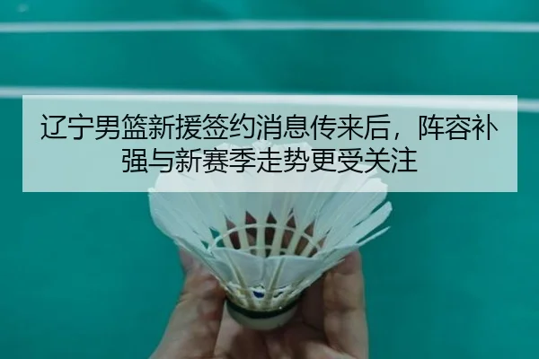 辽宁男篮新援签约消息传来后，阵容补强与新赛季走势更受关注（kaiyun）